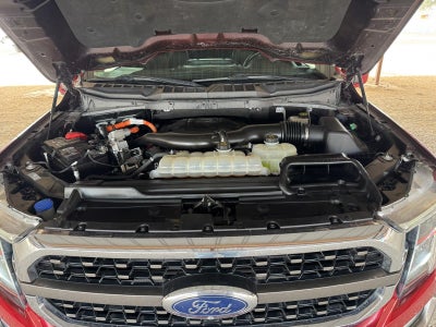 2021 Ford F-150 King Ranch