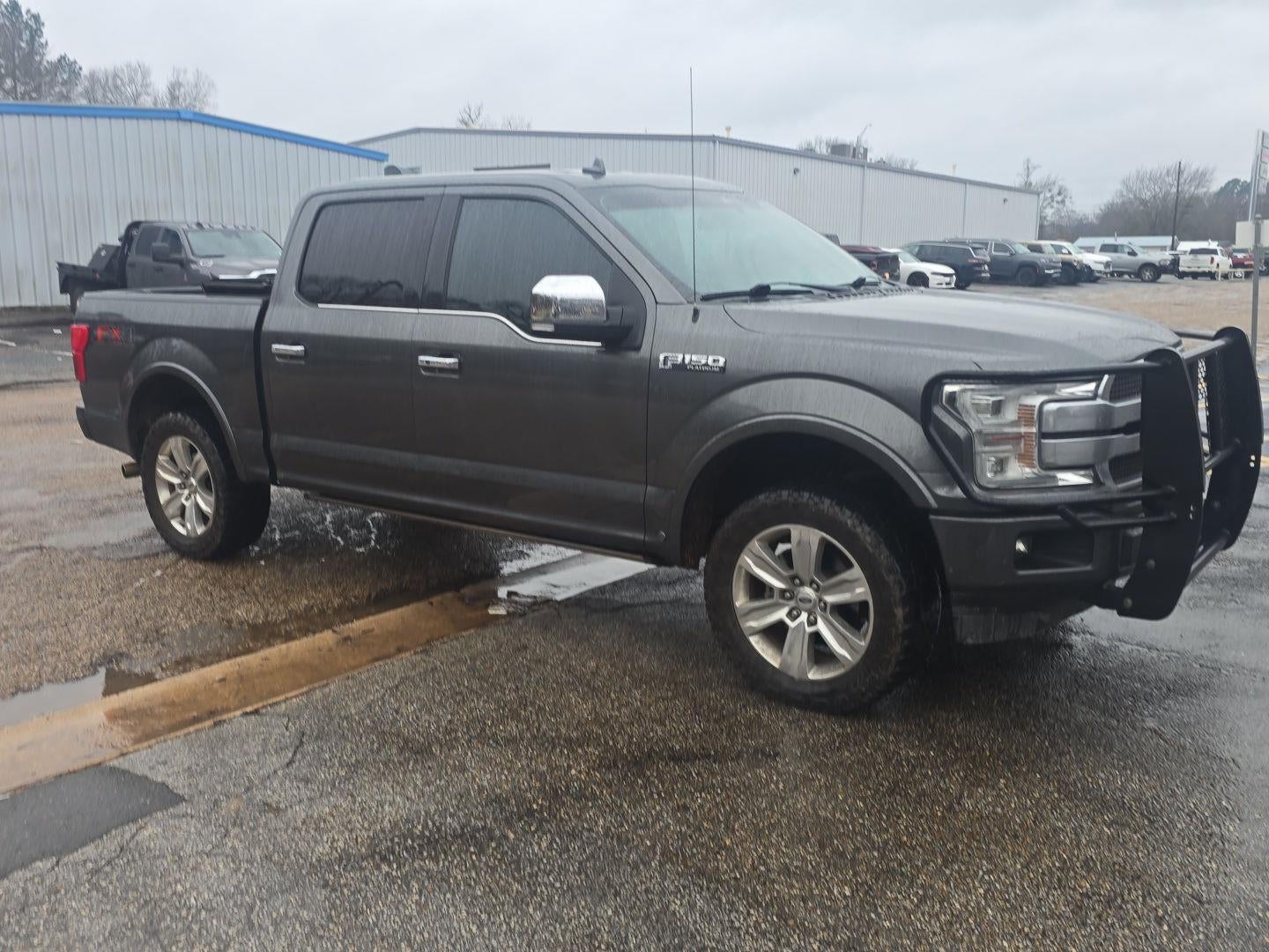 2019 Ford F-150 Platinum